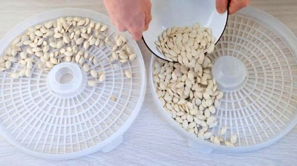 Как сушить тыквенные семечки – простые и эффективные способы заготовки